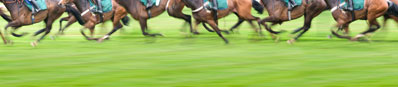 Horse racing